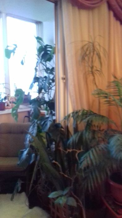 Продаж 3-кімнатної квартири в самому центрі Броварів.