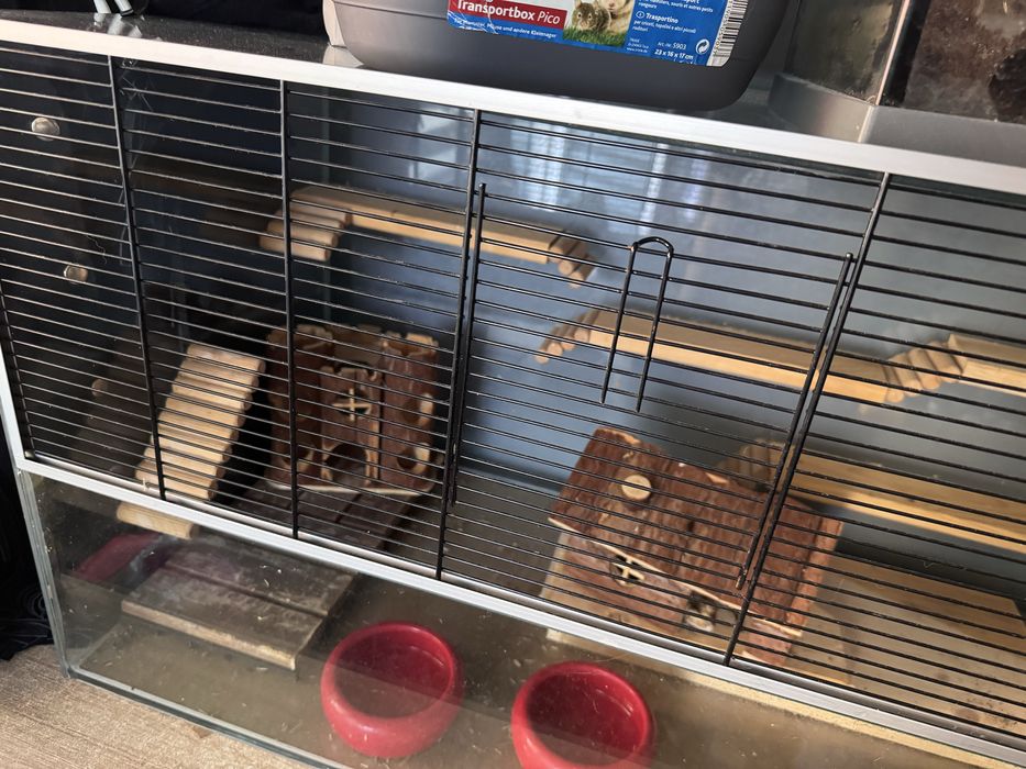 Terarium akwarium polecam!!