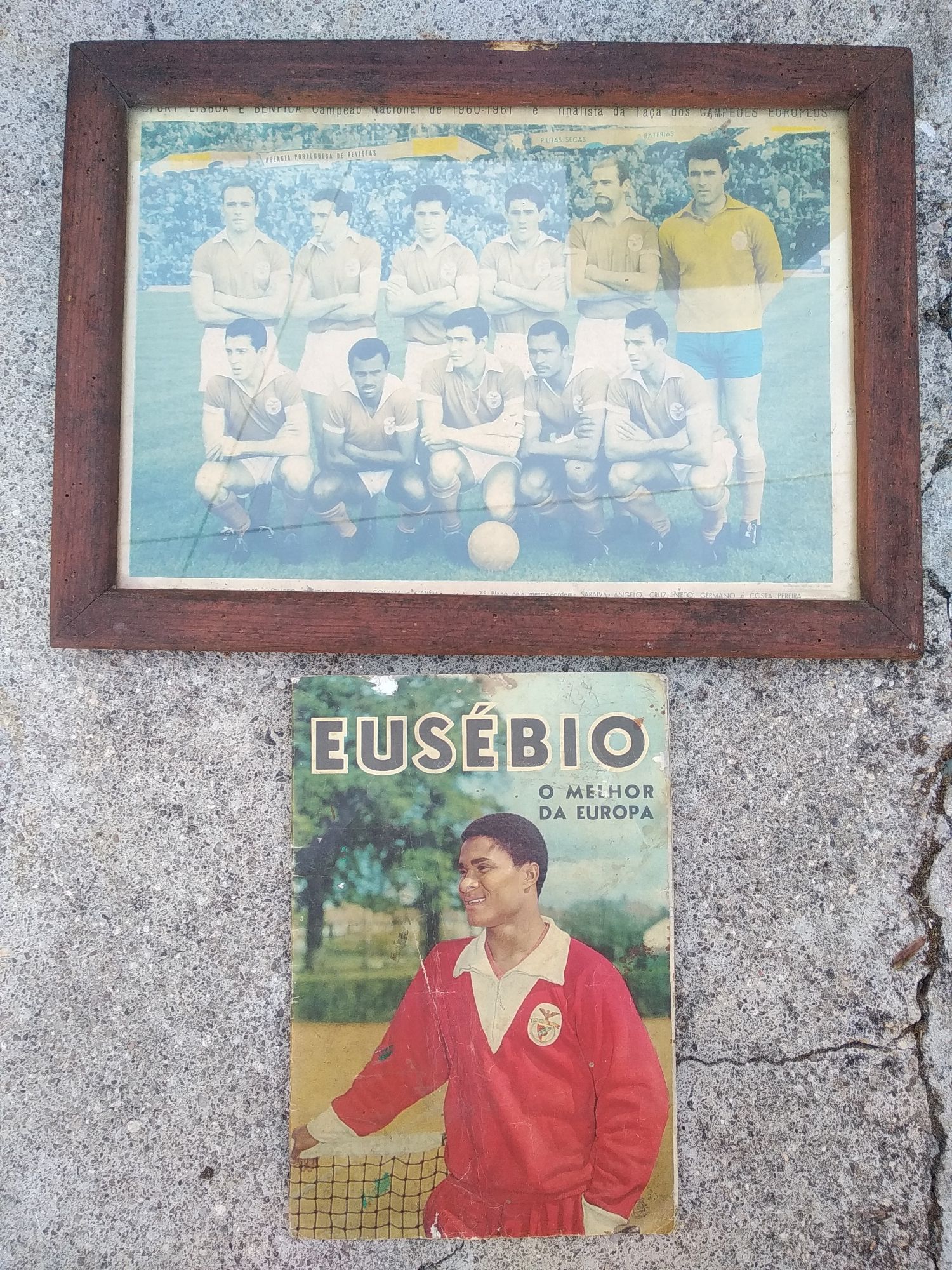 Quadro do Benfica antigo anão 60 e livro antigo sobre Eusébio