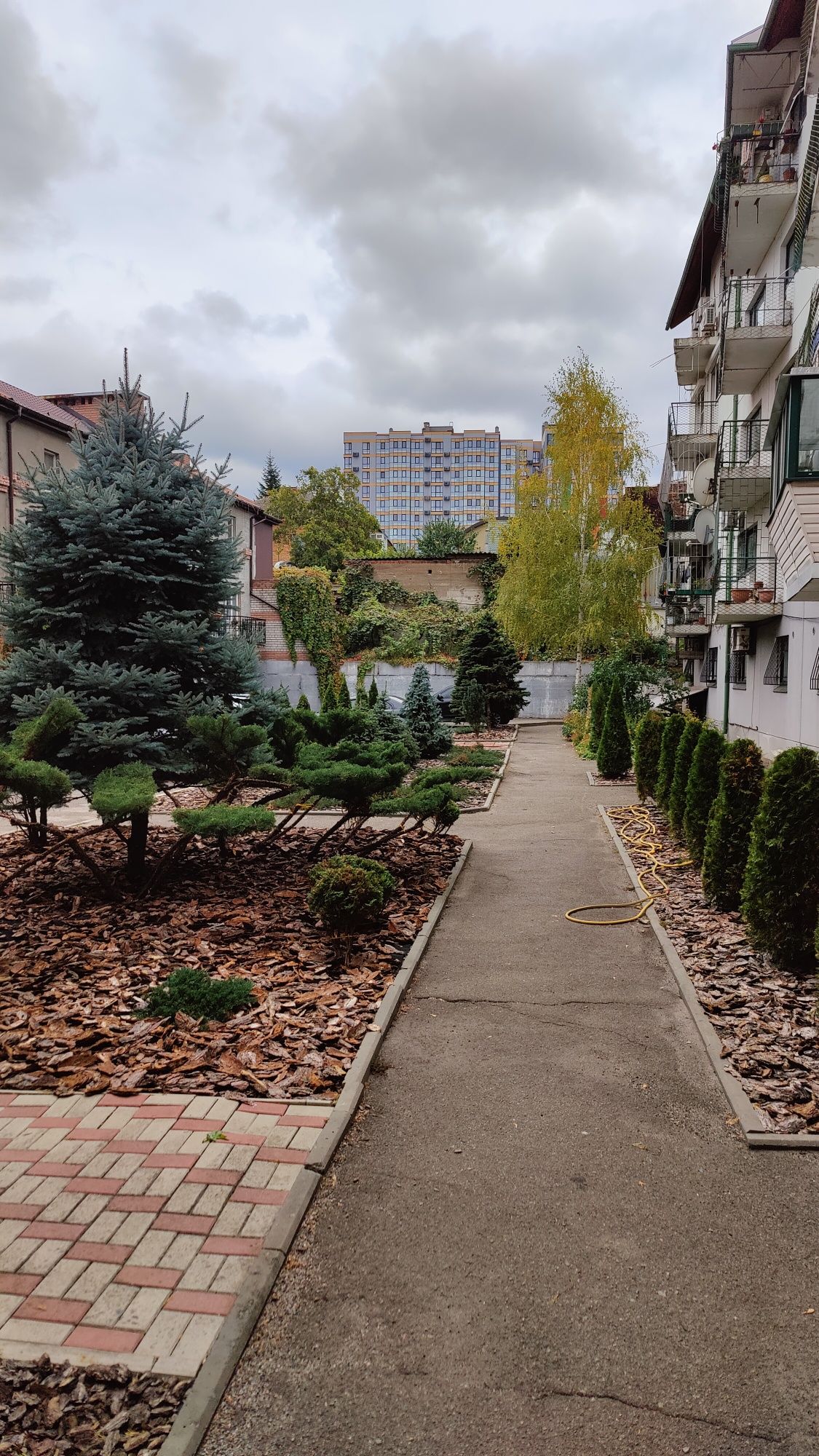 Без комиссии! Продам 5к в центре