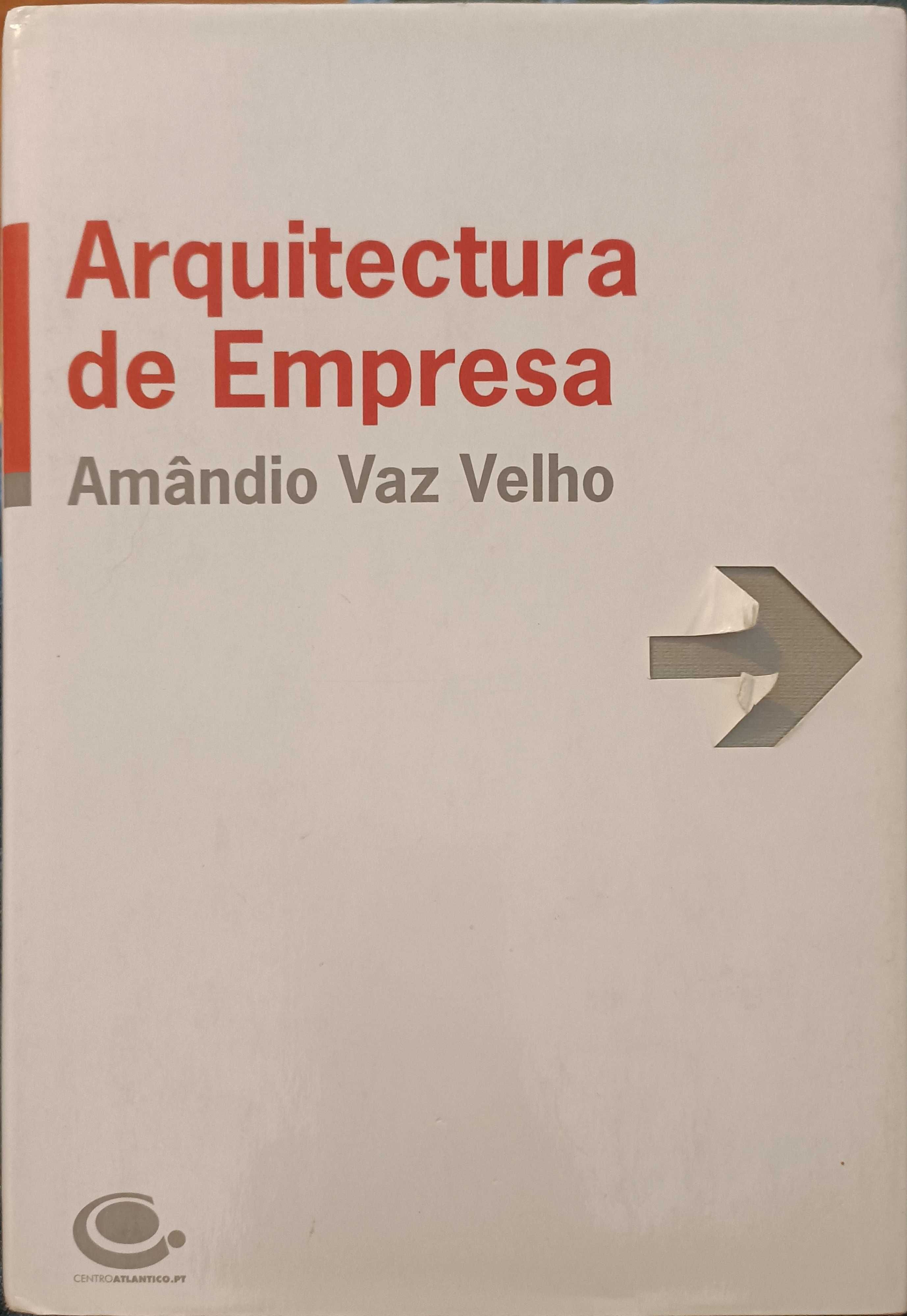 Arquitectura de empresa  (livro de gestão)