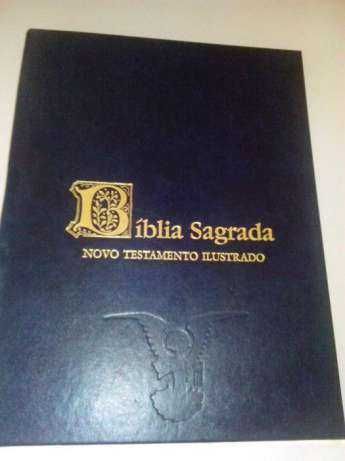 Bíblia Sagrada - Antigo Testamento Ilustrado em fascículos