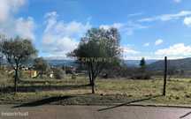 Terreno Rústico em Bragança - Oportunidade Única por 80.000€