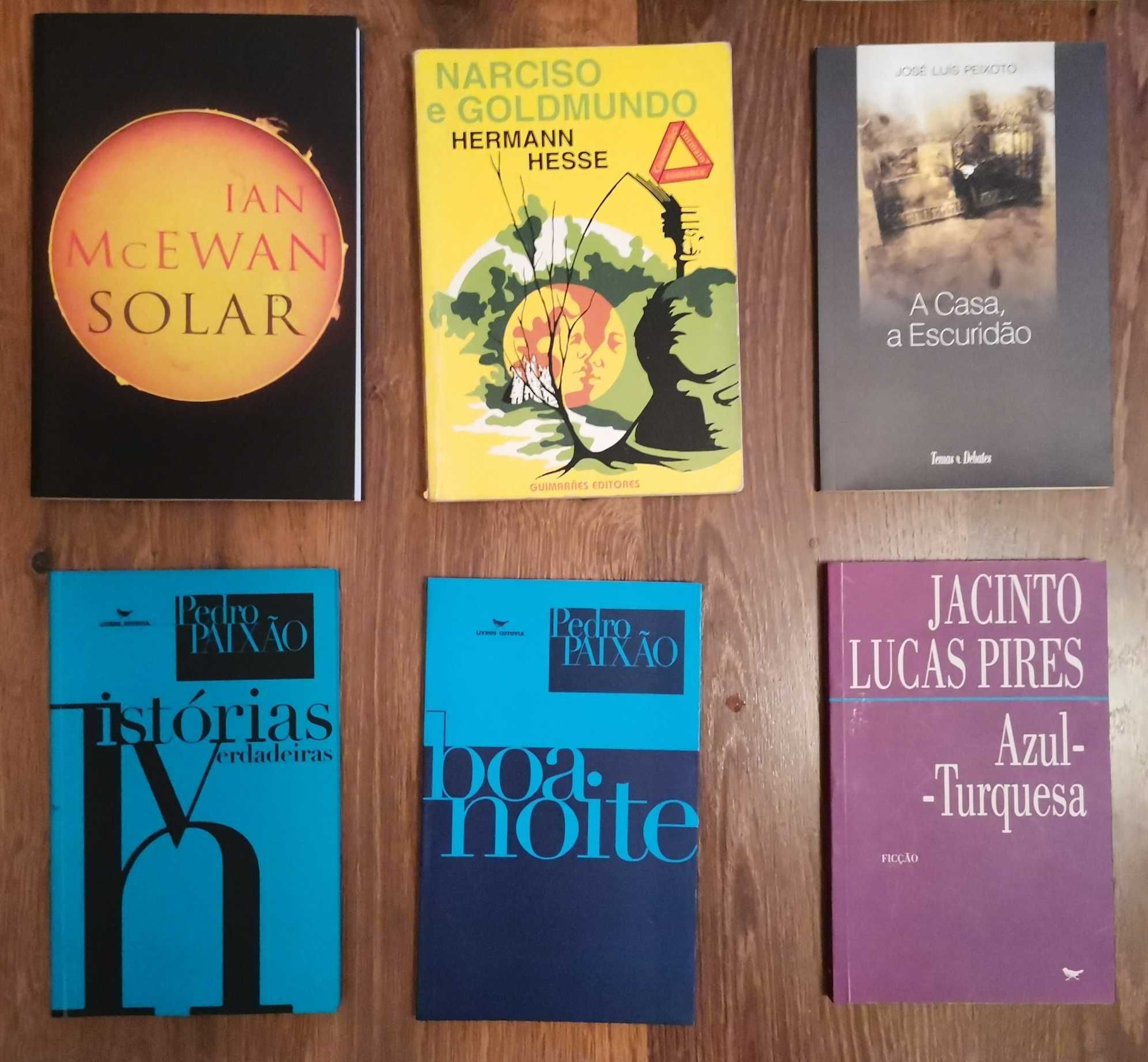 Livros Cunningham, Bellow, McEwan, Amis, Peixoto, Paixão