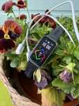 Opaska zegarek smartwatch Huawei band 9 na gwarancji stan idealny