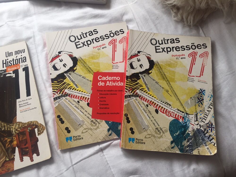 Livros escolares 10º e 11 º ano ,Português,história,geografia , Filos.