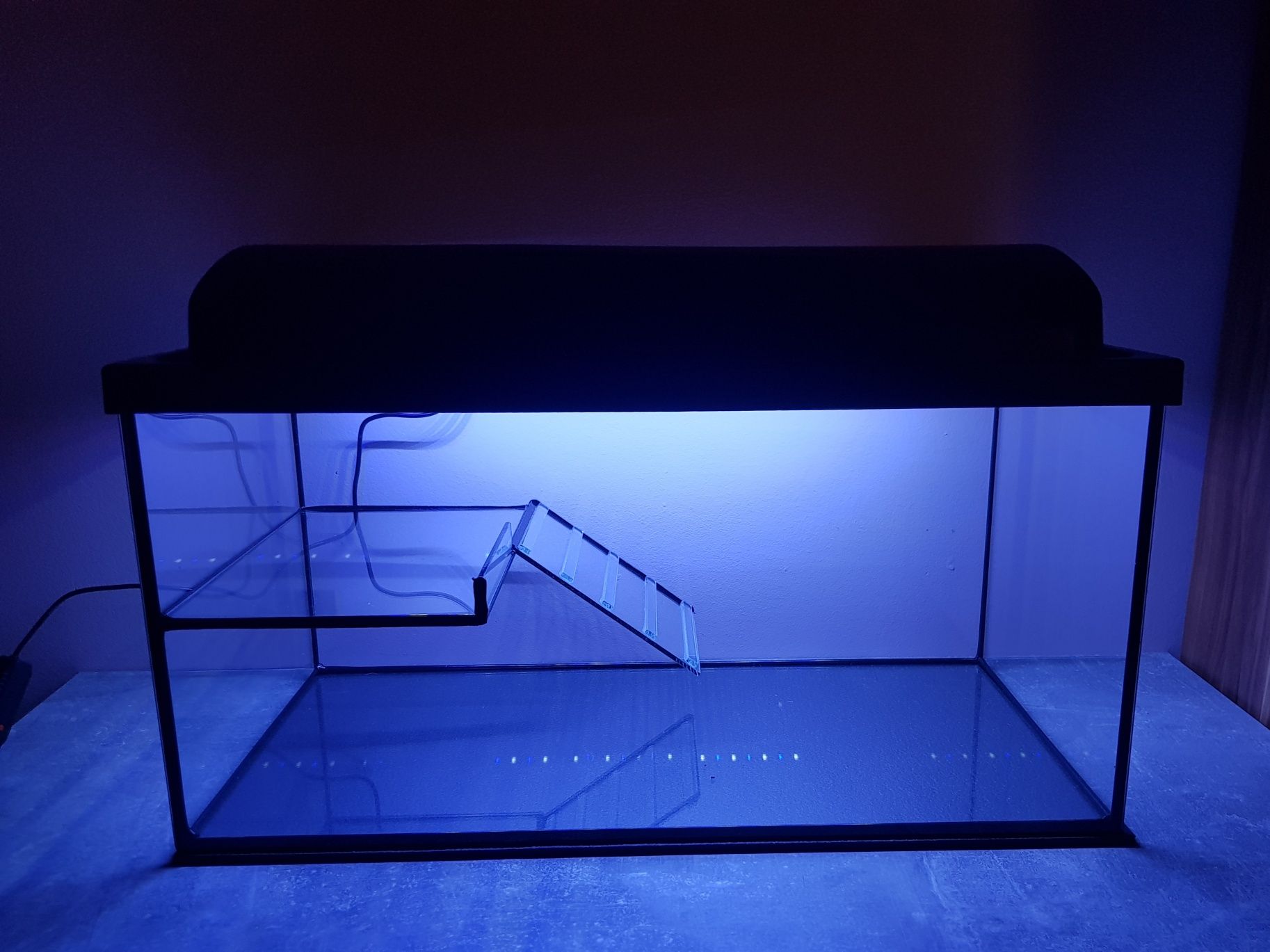 Terrarium dla żółwia wodnego 60