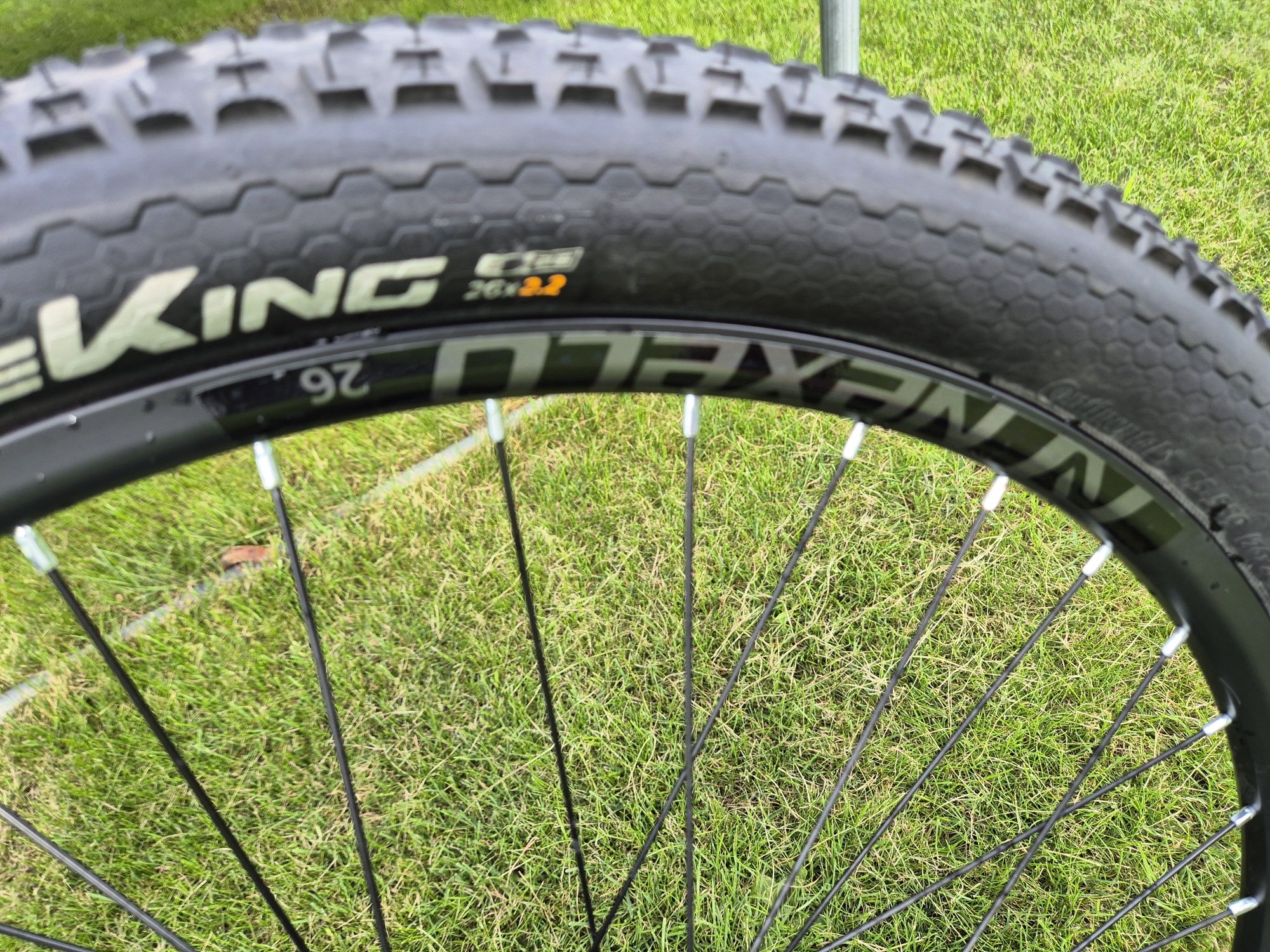 Rower Dirt Kellys whip 50 (custom)