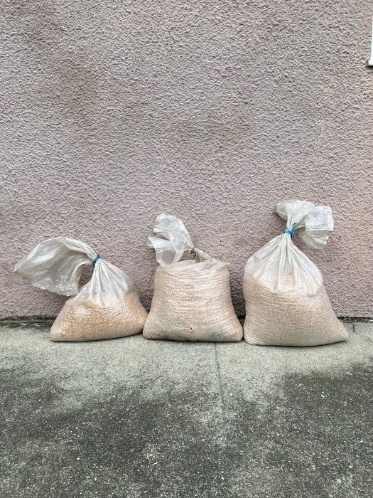 Milho seco para venda – ideal para animais