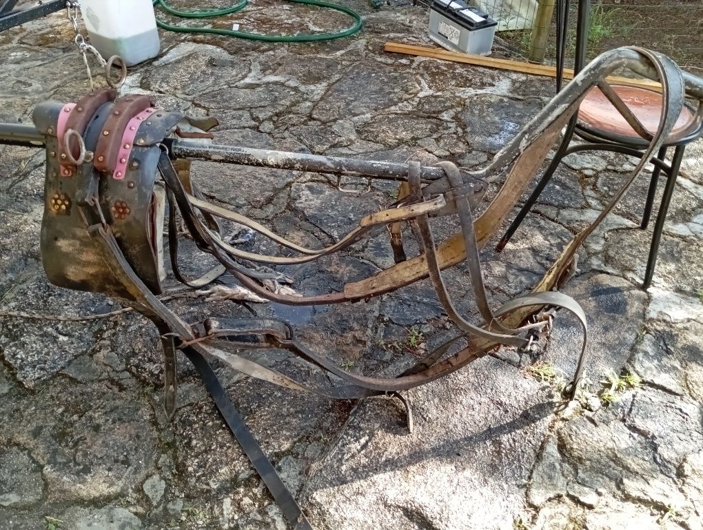 Vendo charrete e arreios