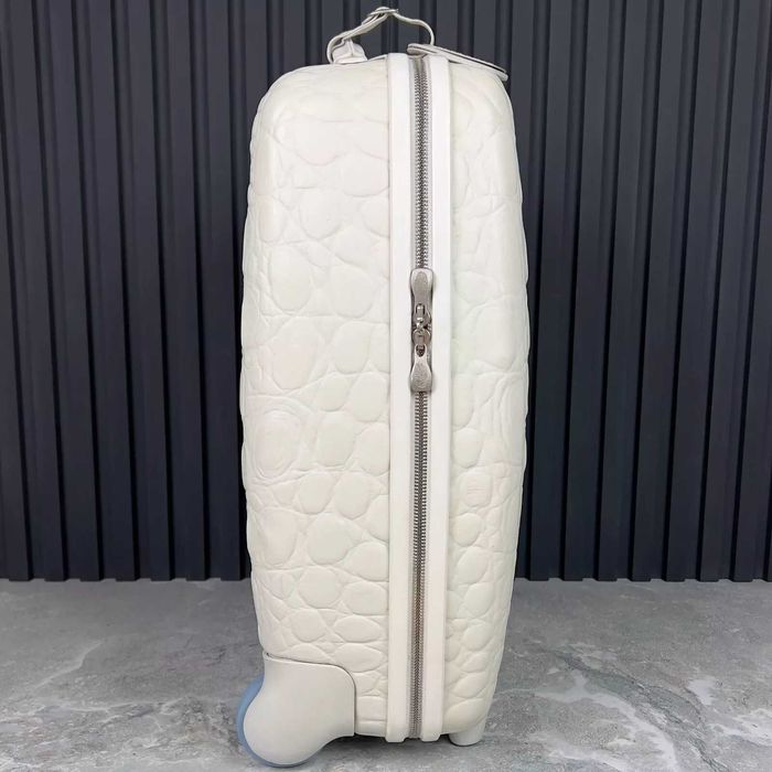 Alexander mcqueen x samsonite 55/20 рідкісна валіза оригінал