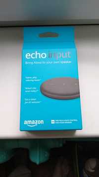Amazon Echo Input