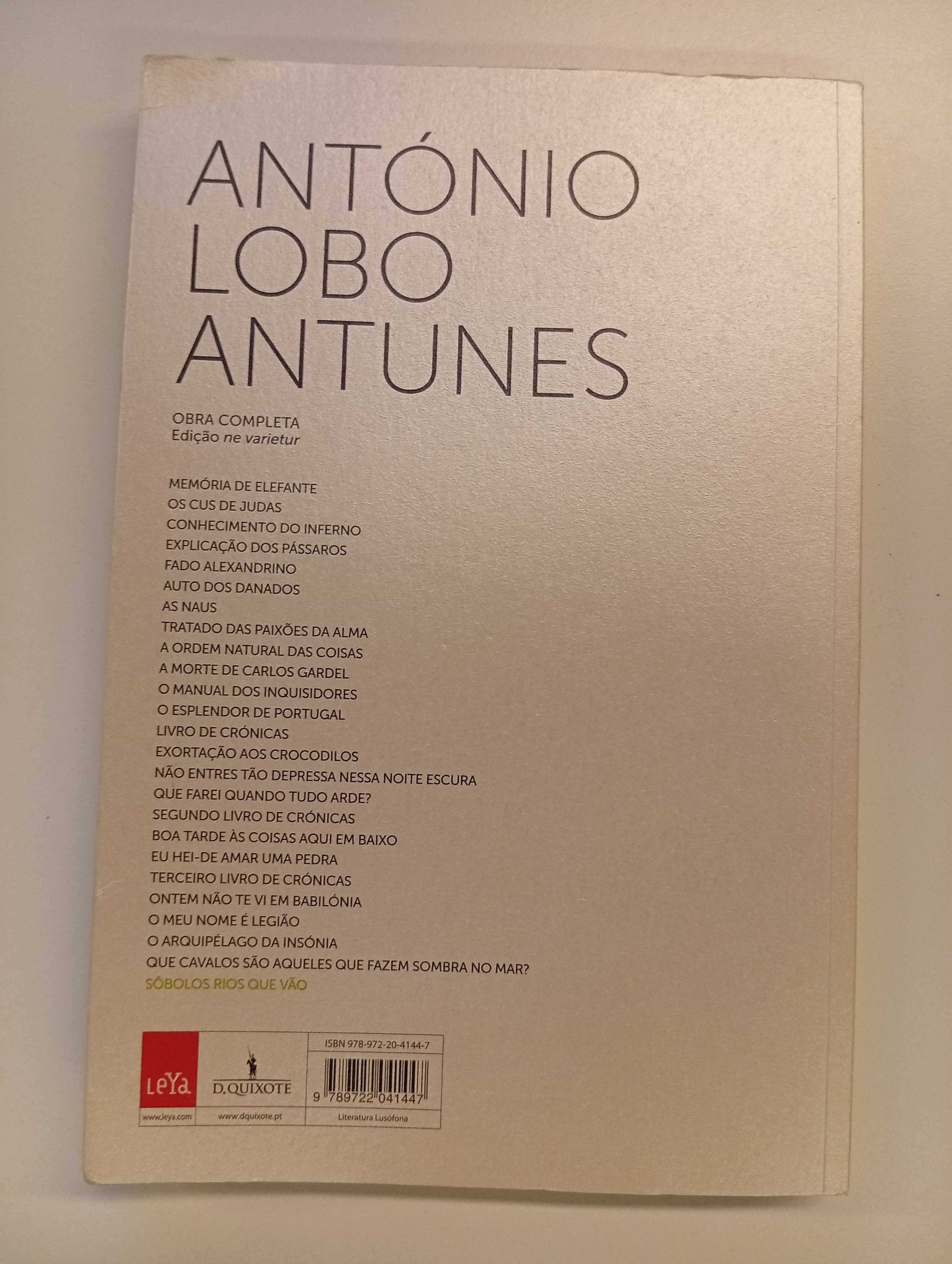 Livro - Sôbolos Rios Que Vão