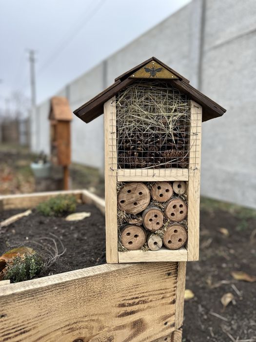 Готель для комах