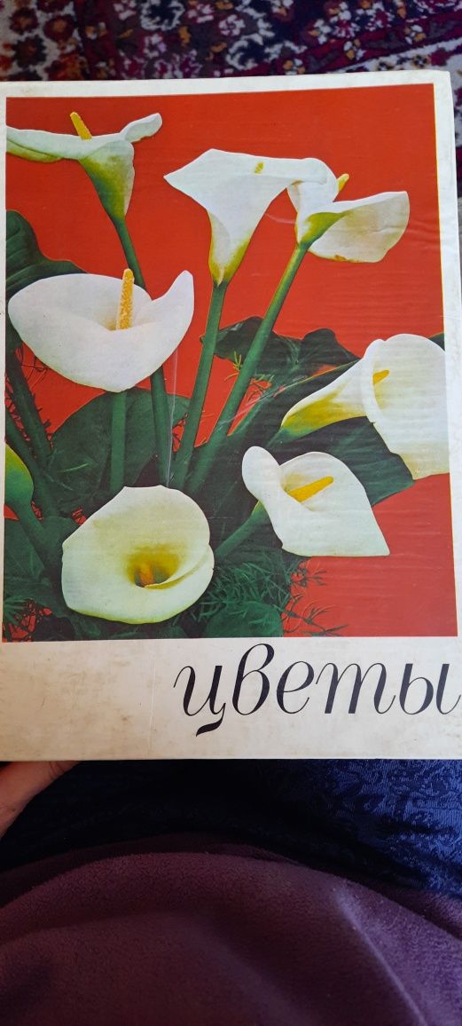 Книга  "ЦВЕТИ" 1978р