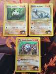 Pokémons Gym Heroes e Gym Challenge aleatórias.