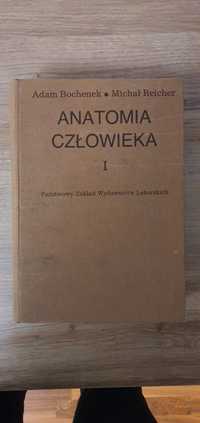 Anatomia człowieka Bochenka Bochenek tom 1