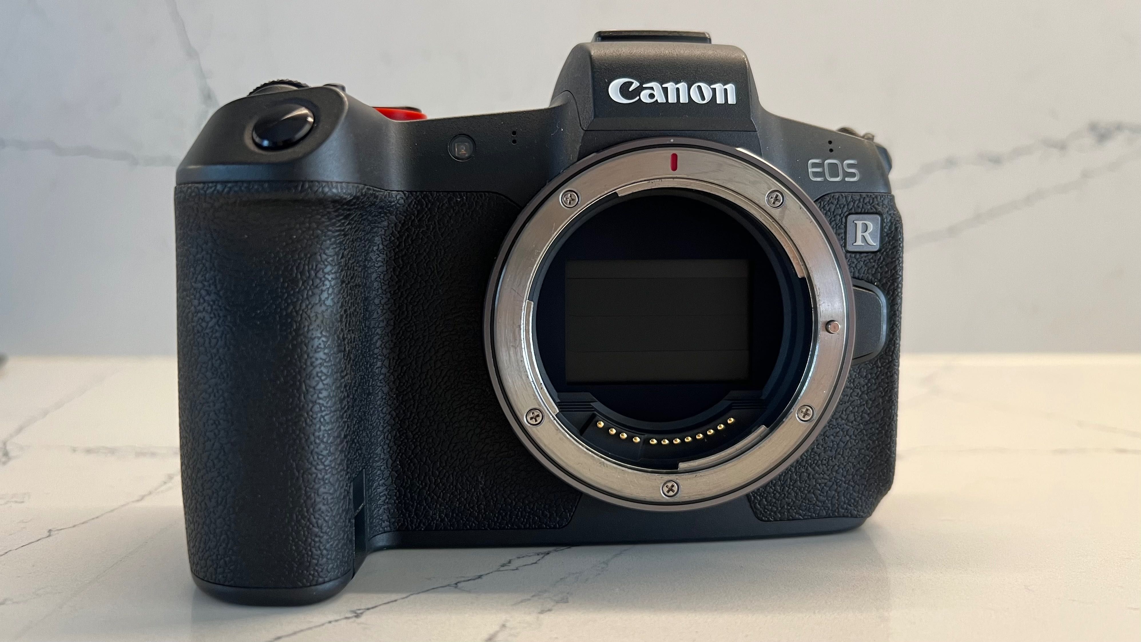 EOS R + Obiektywy R-ki i L-ki + Lampy