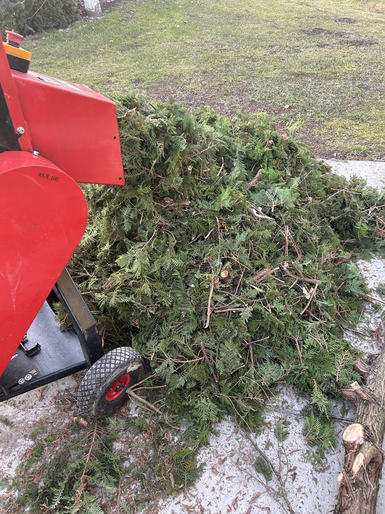Wynajem rębak do gałęzi walcowy rs 100 rozdrabniacz do gałęzi cedrus