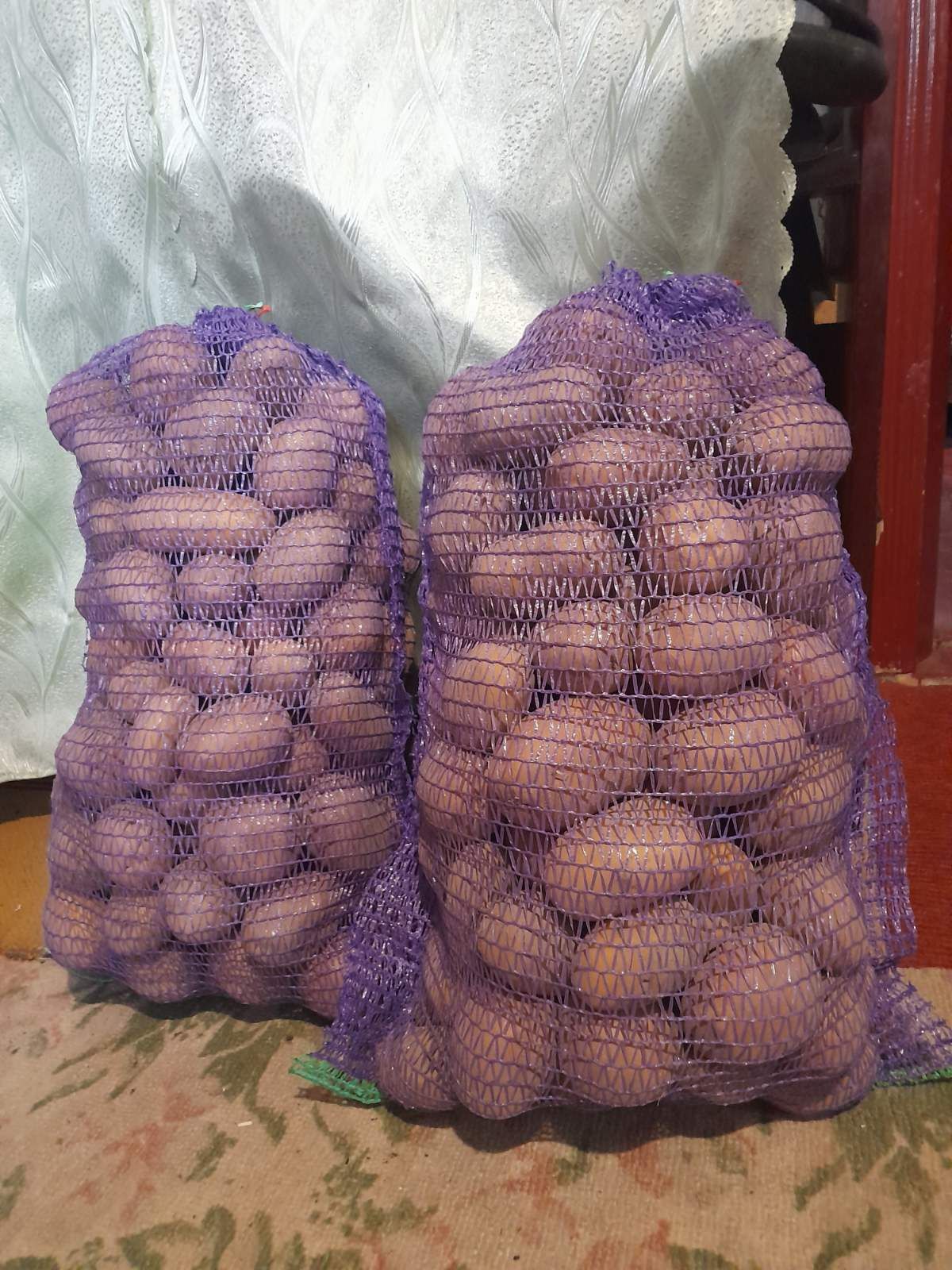 Картопля велика домашня
