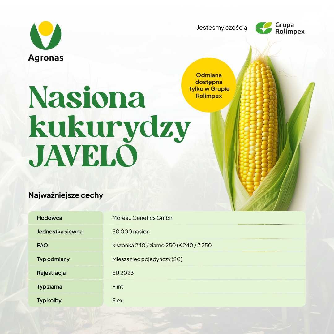 Kukurydza Javelo Kiszonka/ziarno Fao240-250 worek 50tyś nasion