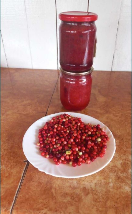 Брусника( Брусниця, Журавлина,Клюква)