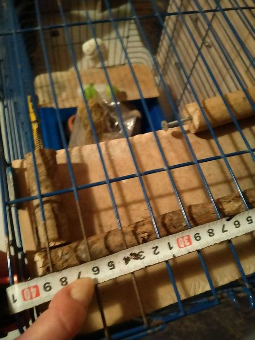 клетка для питомцев, 80\40