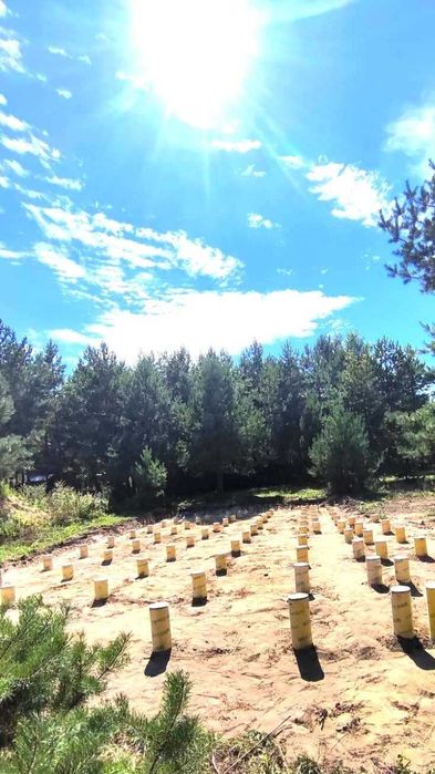 Заливаємо свайний ФУНДАМЕНТ залізобетонний під каркасні будинки