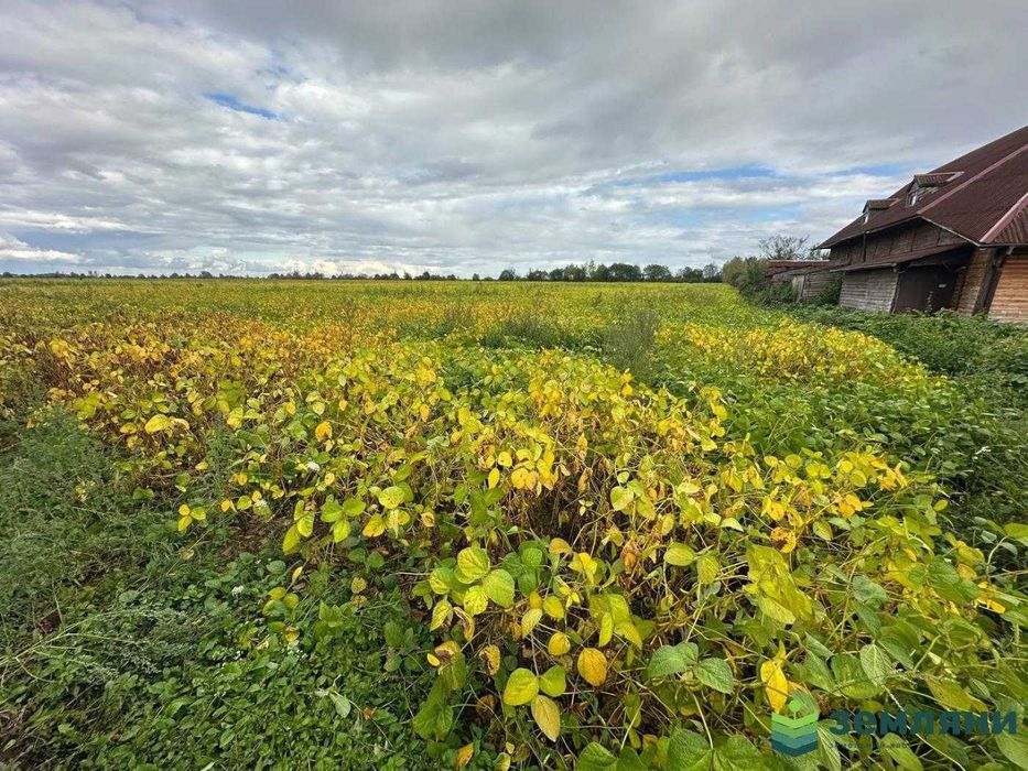 Продається комерційна ділянка в с. Цуцилів (3)