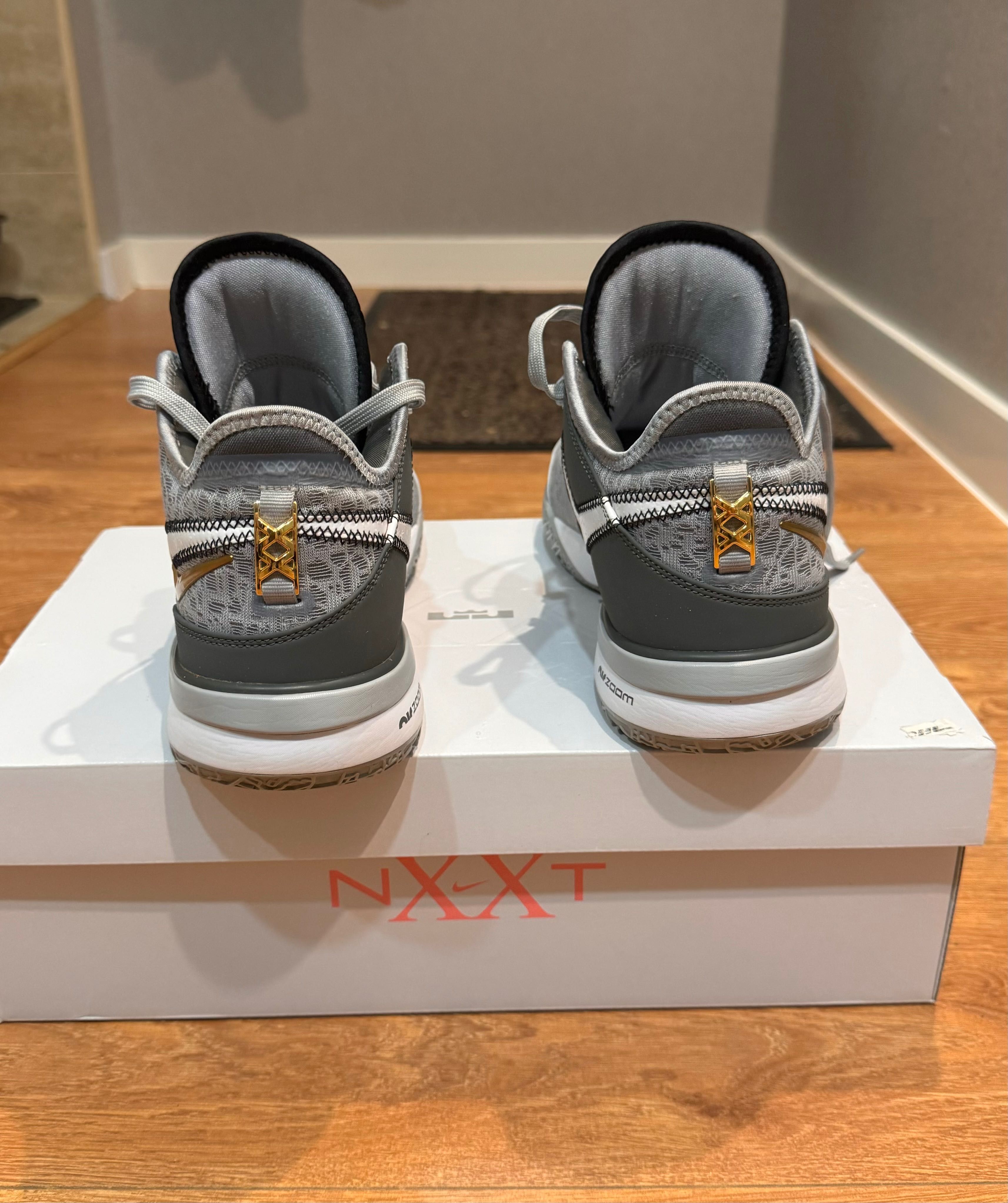 Кросівки Nike Lebron Nxxt Gen Basketball Shoes Grey