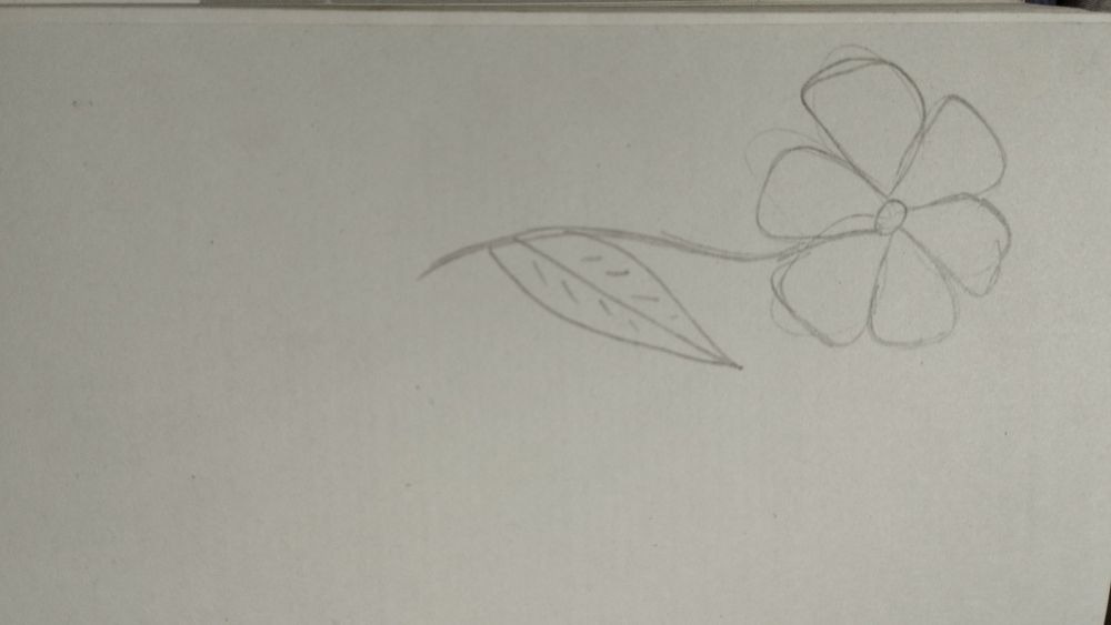 Мысли, афоризмы и шутки выдающихся женщин