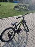 Rower kross dust replica