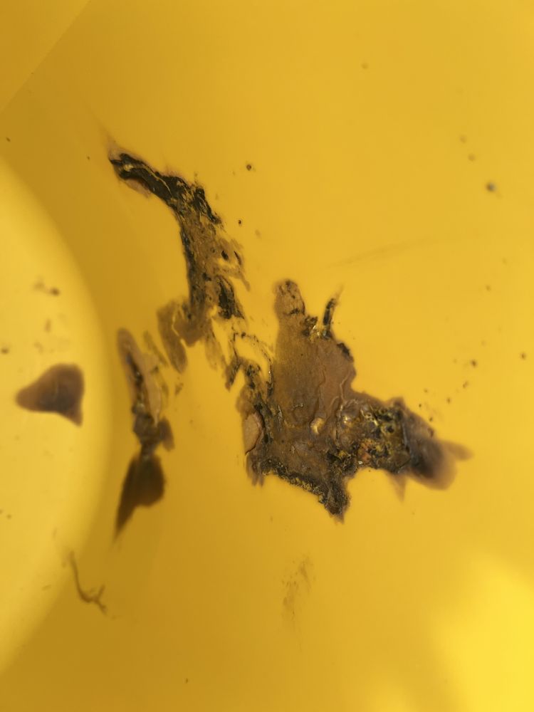 Пилосос Karcher