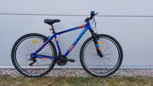 rower górski męski MTB X-FACT DESERT 29", 48 cm/19", po ekspozycji