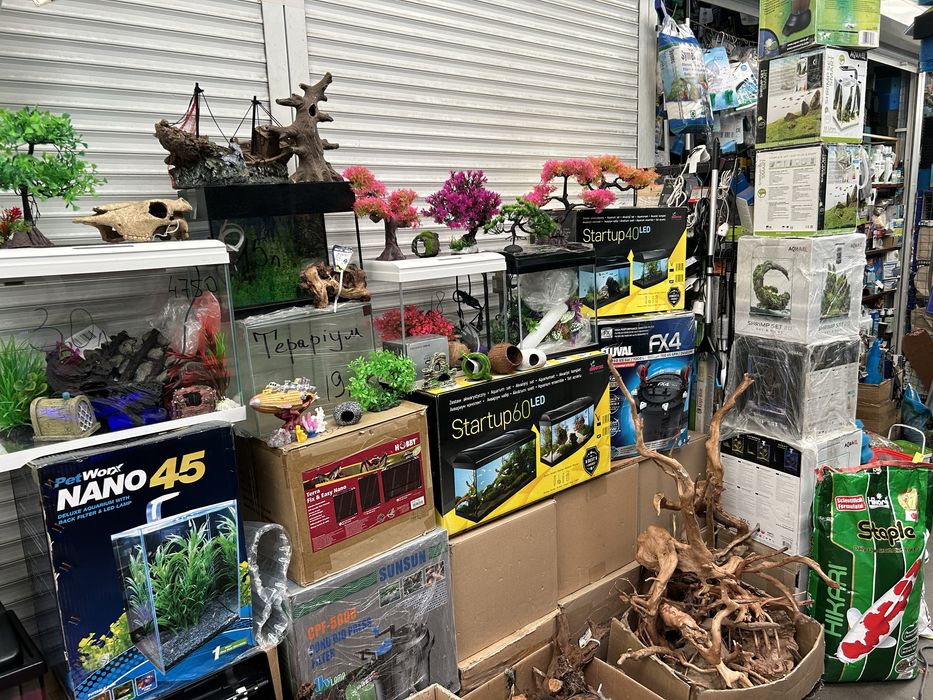 Акваріуми.           .