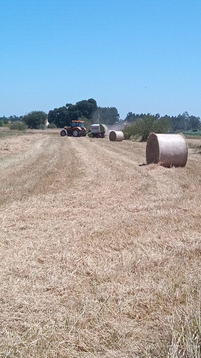 Vende-se rolos de palha