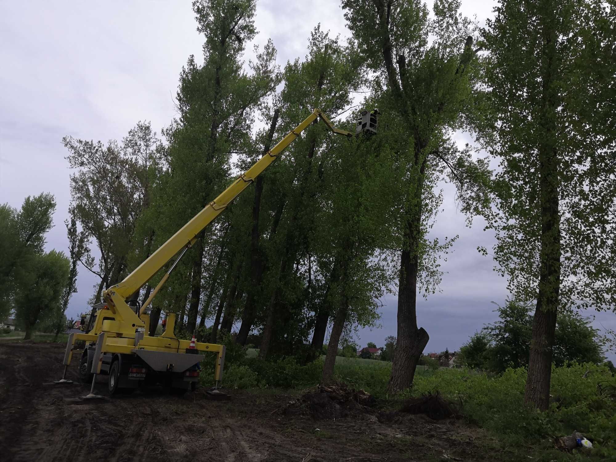 Podnośnik koszowy, zwyżka, wycinka drzew i inne prace wysokościowe