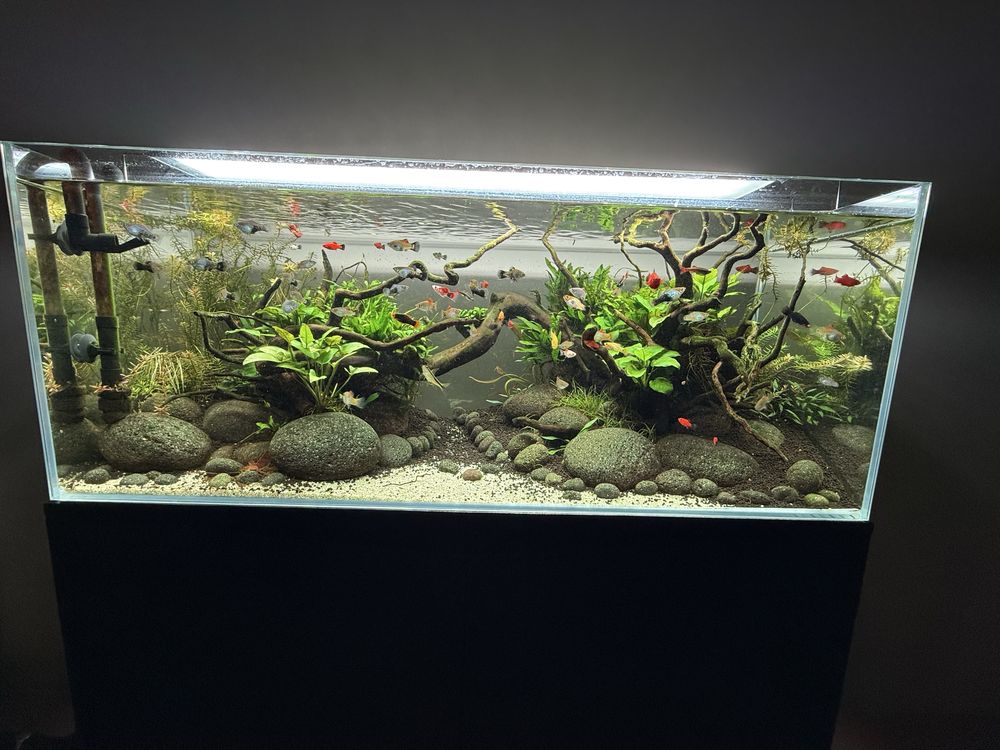 Aquario completo com tratamento de agua e iluminacao Led