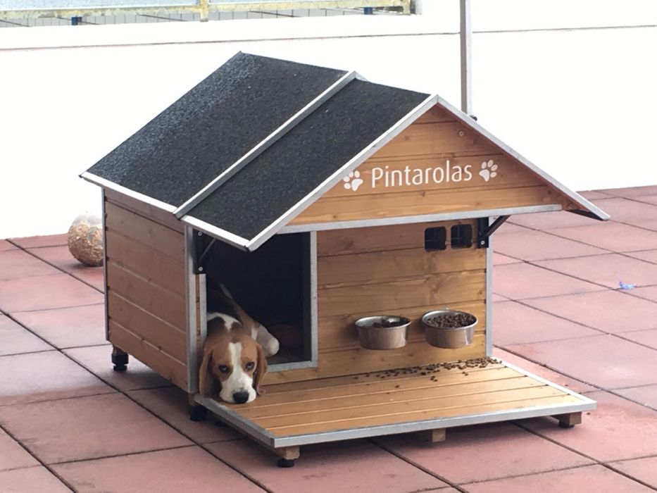 Vendo casota para caes medios