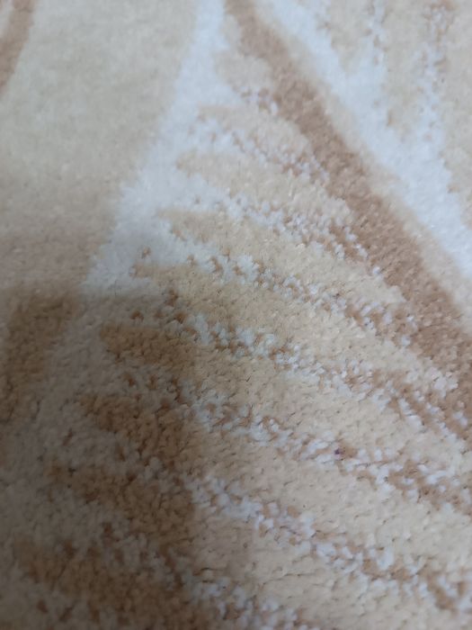 Два килими за 600 грн