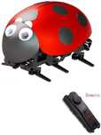 biedronka robot inteligentny z pilotem