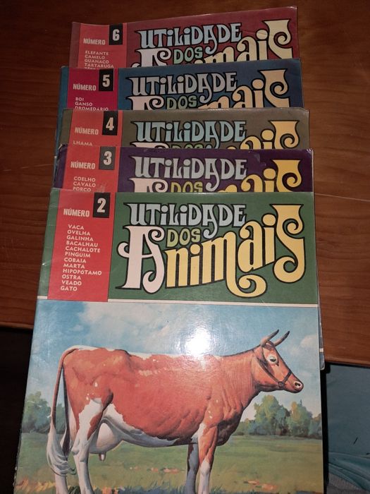Conjunto de livros Educativos antigos