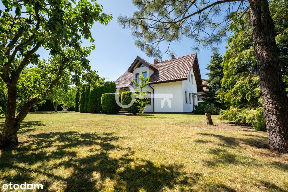 Starodrzew | Spokojna okolica | Czarnowąsy