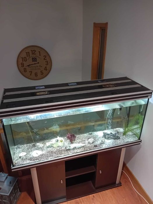 Aquário Aquatlantis