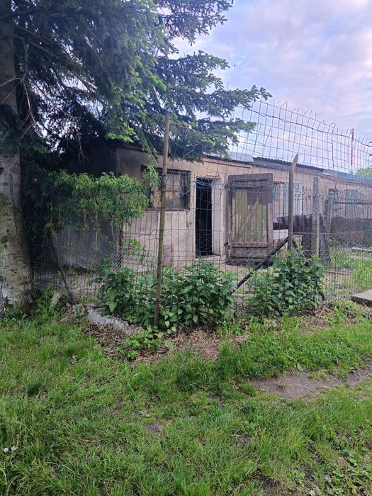 Sprzedam garaż+zagroda Czerniejewo