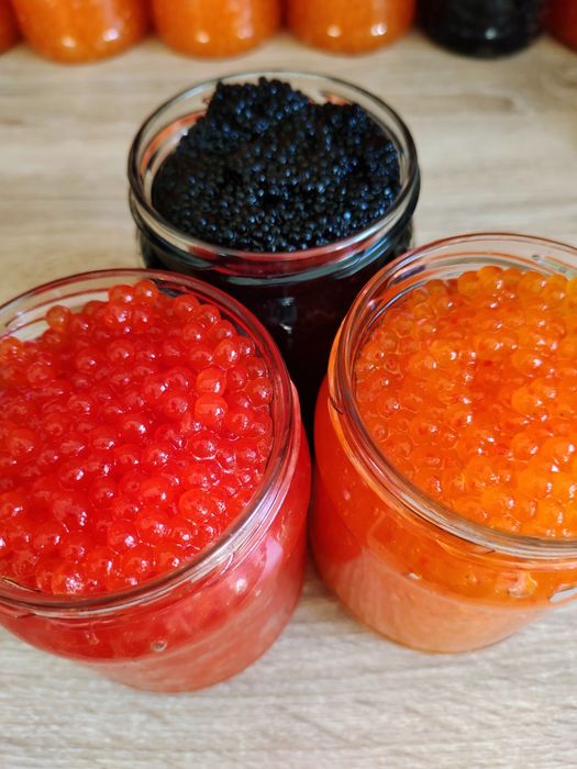 Икра красная черная Горбуша Кета Щука Веслонос