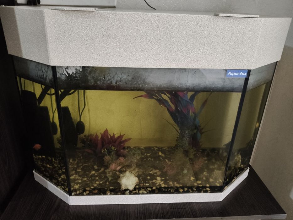 Акваріум на 100 литрів