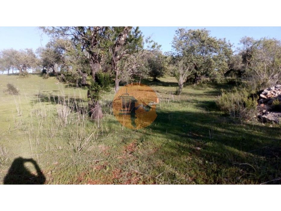 Terreno Rústico Com 11.200 M2 - Paderne - Albufeira - Algarve