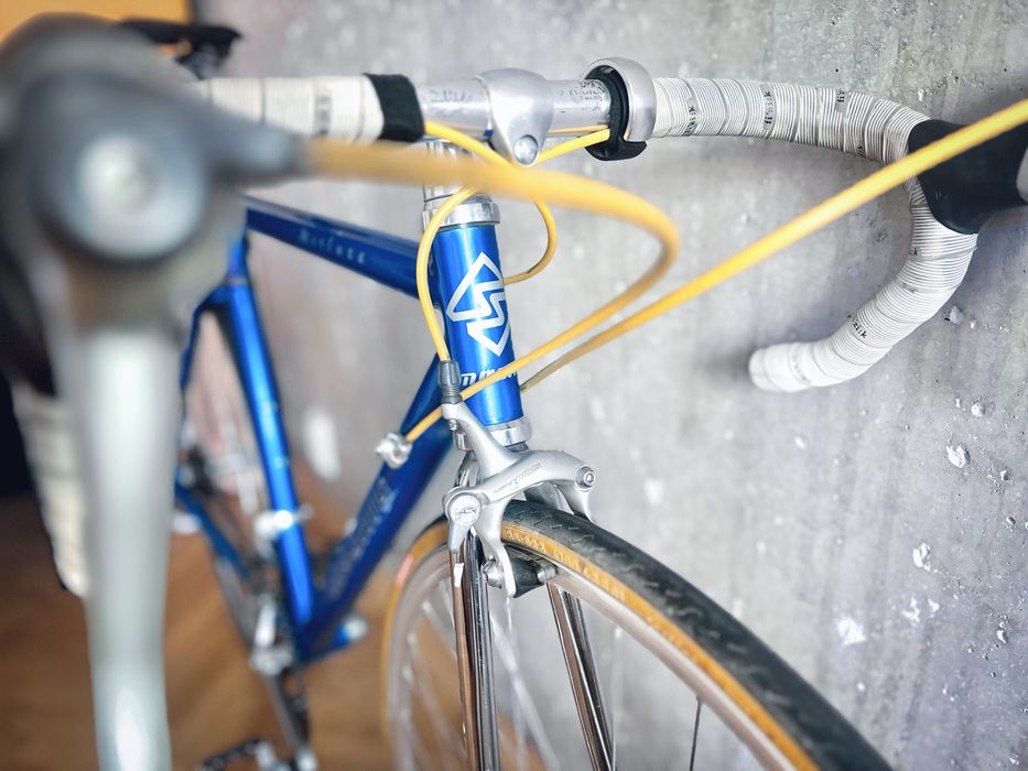 Rower szosowy Musing Merluza [r. SM/53],