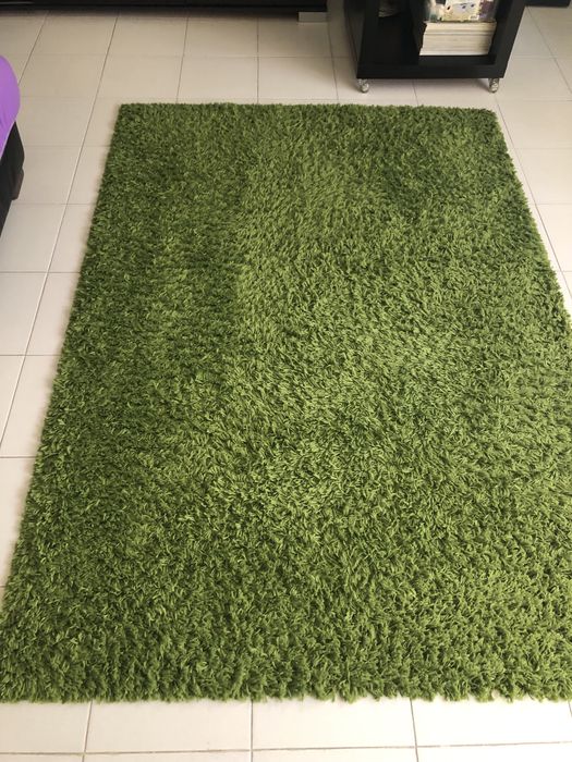 Tapete limpo cor verde relva-pelo médio curto